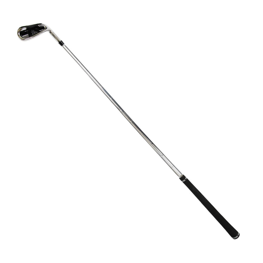 Tempo Pro Swing Trainer (7 Iron) – Spornia Sports