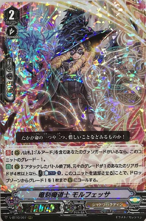 ルアード型シャドウパラディン デッキレシピ【虚幻竜刻】