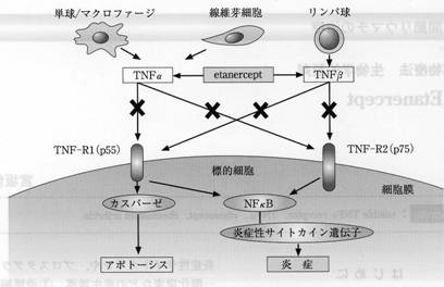 平田クリニック