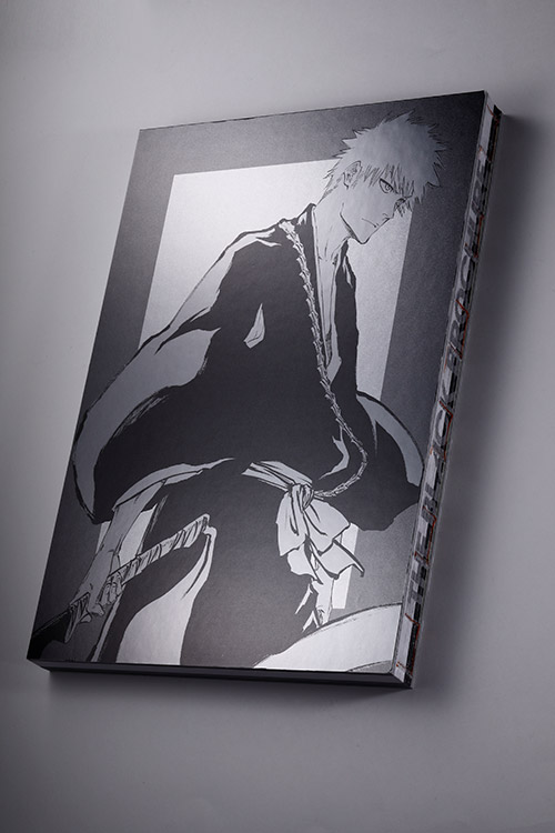 BLEACH EX. 公式図録 THE BLACK BROCHURE