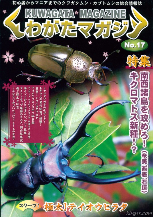 くわがたマガジン17号 キクロマトス/レギウスの累代飼育