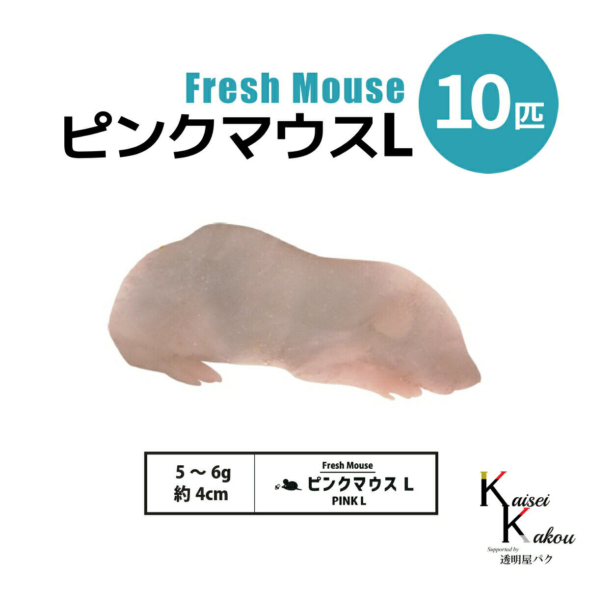 楽天市場】冷凍マウス ピンクの通販
