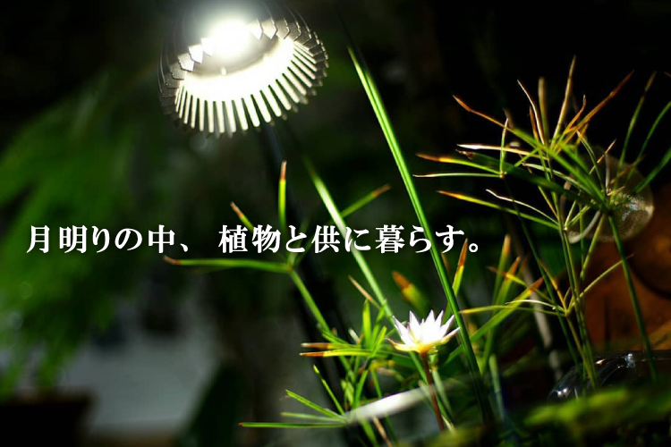 太陽光LED】TSUKUYOMI LED-20W | 杜若園芸WEBショップ｜水草の生産販売