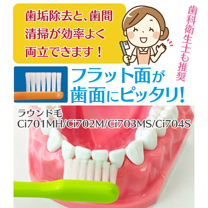 楽天市場】【☆50%OFF】Ci 703 極薄ヘッド / MSやややわらかめ 50本入