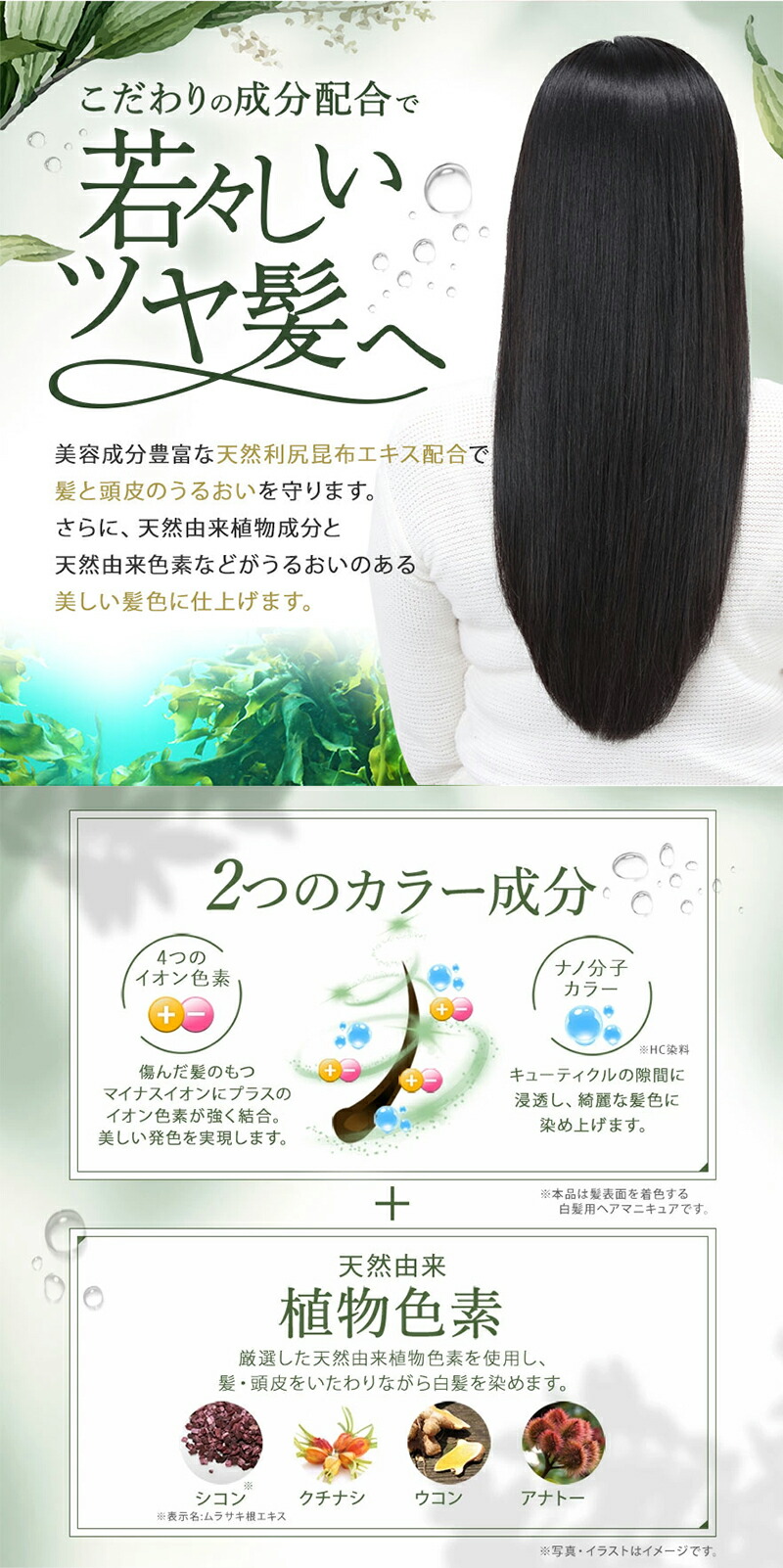 楽天市場】【スーパーSALE限定10%OFF & 送料無料】白髪用 利尻カラー