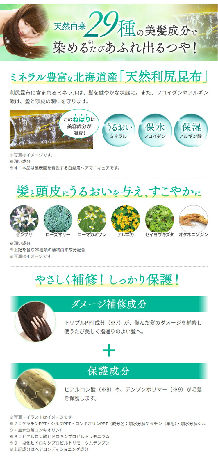 楽天市場】【スーパーSALE限定10%OFF】白髪用 利尻ヘアカラー