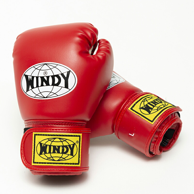 楽天市場】【日本総代理店】WINDY(ウィンディ) BGVC キッズレディス