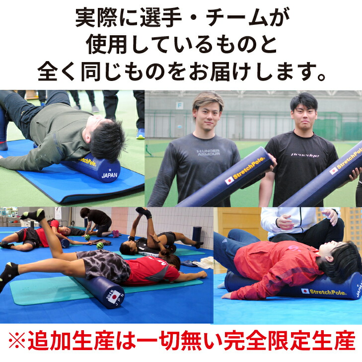 楽天市場】【限定】2024 ストレッチポールEX JAPANモデル : ストレッチ