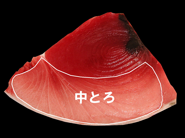 中とろマグロの通販：まぐろの販売サイト