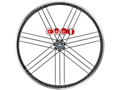 CAMPAGNOLO 2024 SHAMAL ULTRA C17 WO CULT SPECIAL SHIMANO HG