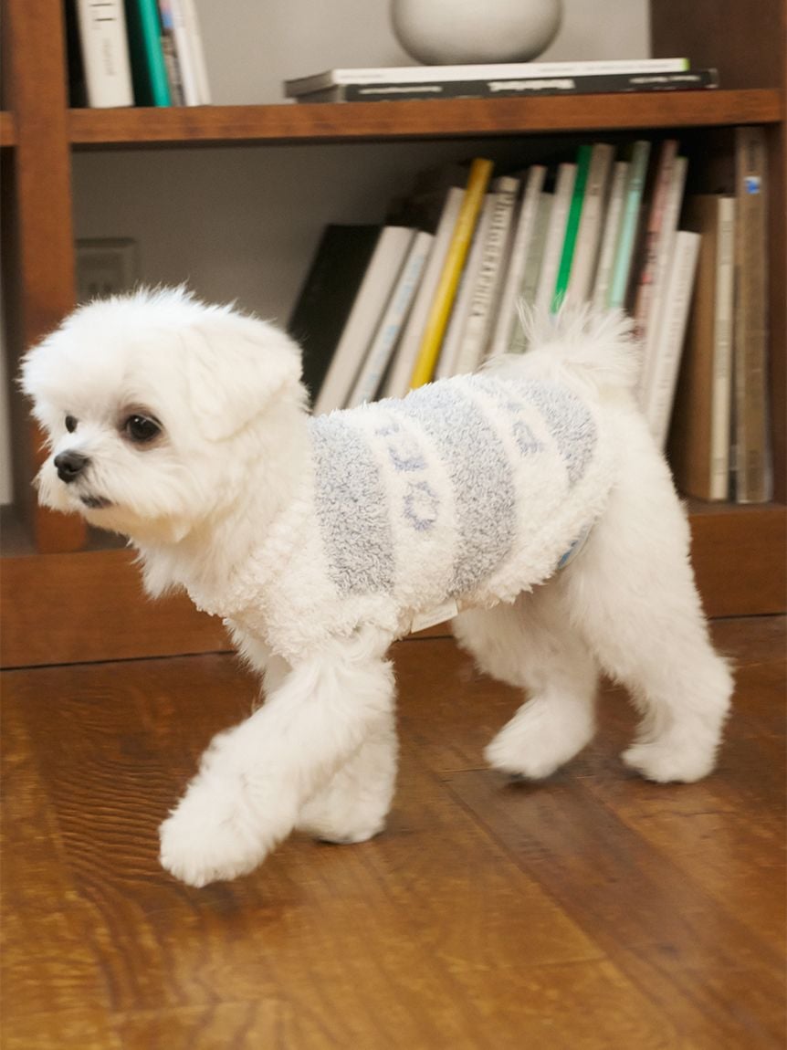 gelato pique（ジェラートピケ）【CAT&DOG】【販路限定商品