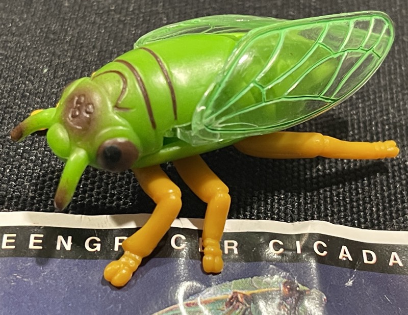 Green Grocer Cicada Toy – Cicada Mania