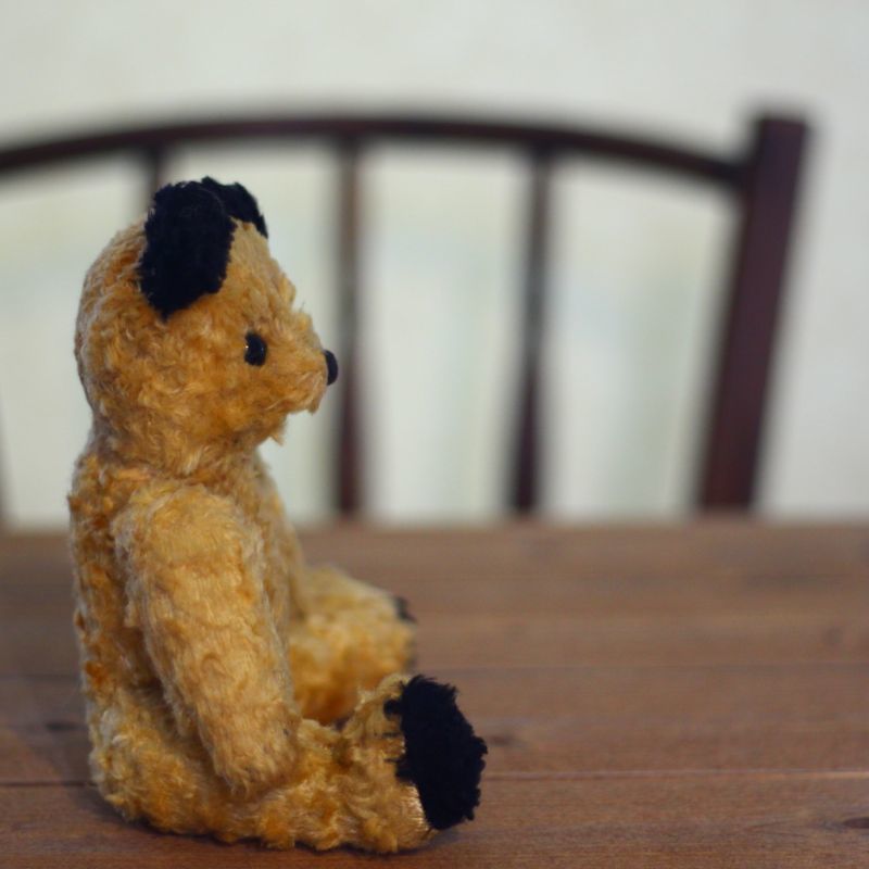 Sooty Bear/Antique Teddybear/ぬいぐるみ-/Antique toricoTte