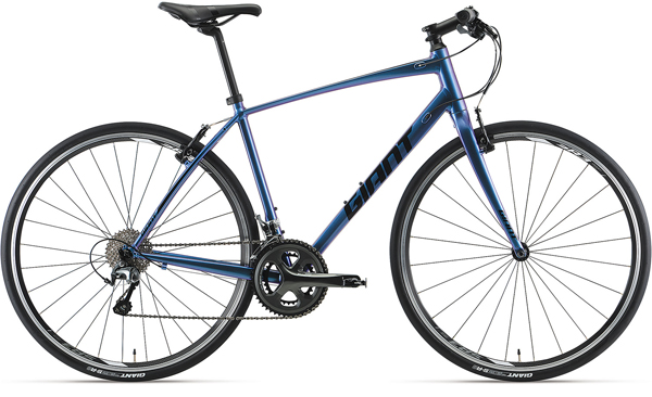 2019 GIANT Bicycles | ESCAPE RX 3