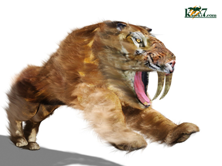 恐竜没後の百獣の王：サーベルタイガーのレプリカ（アンティーク