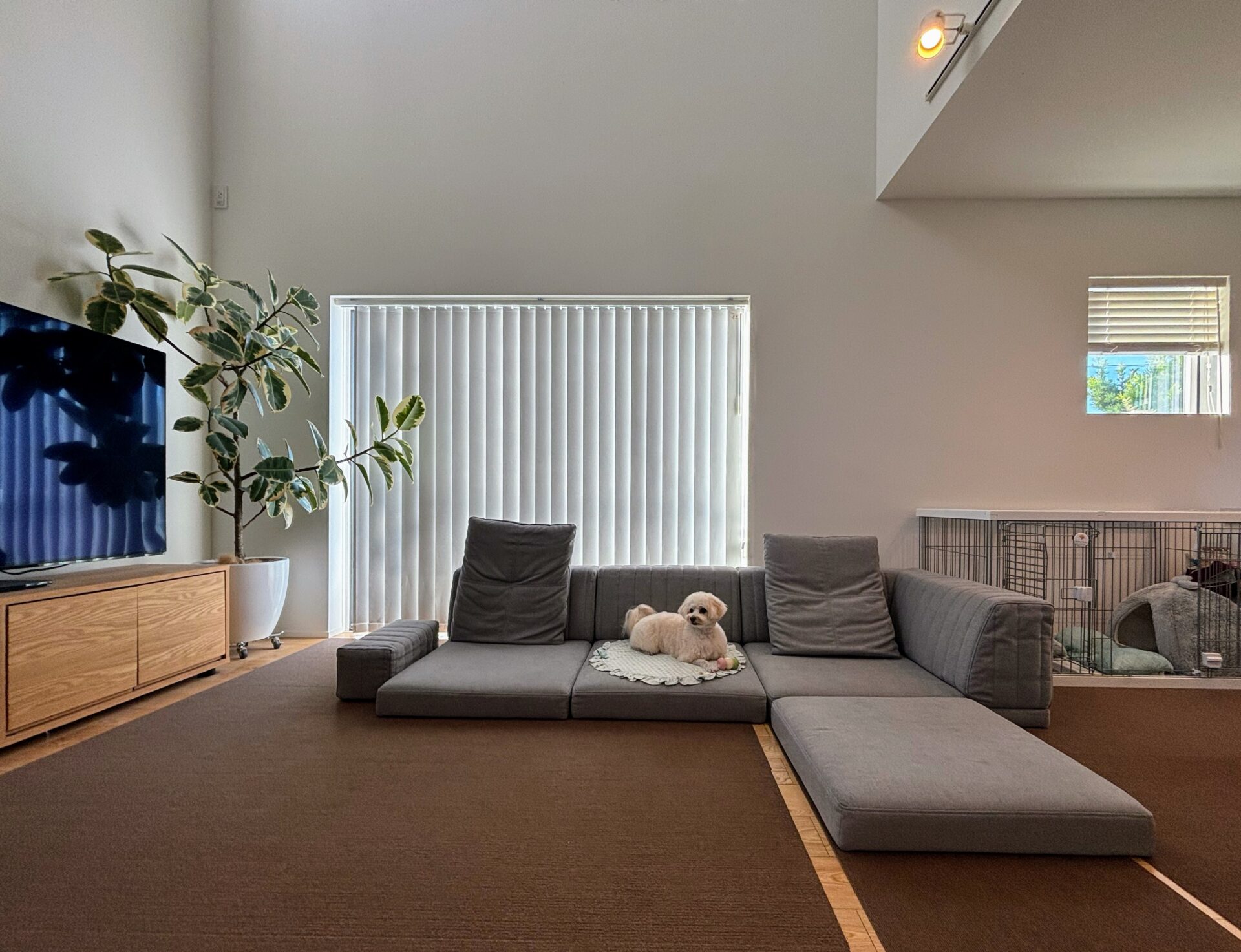 こたつや和室、畳にも合わせやすいローソファー「PICASSO SOFA」の商品