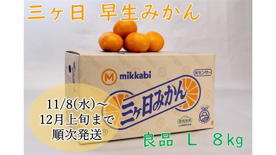 三ヶ日早生みかん（良品）L 8kg JAみっかび≪11月11日(月)以降順次