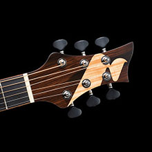 F-51 Performers Edition | 生産完了品 | MORRIS GUITARS モーリスギター