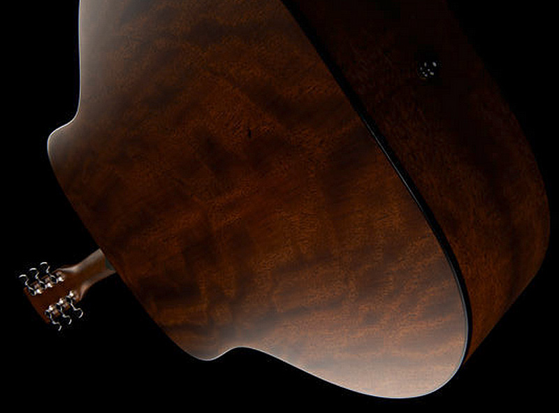 Cort AD810 - natural open pore Folk guitar