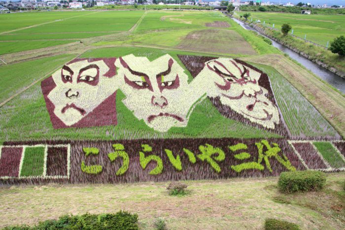 田んぼはキャンバス🌾｜プラザイン水沢【公式HP】