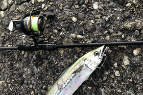 AbuGarcia SUPERIOR (アブ・ガルシア スーペリア)｜AbuGarcia｜釣具の