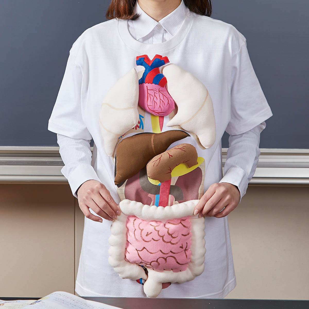 人体模型Tシャツ HBT【りかなび】ケニス株式会社