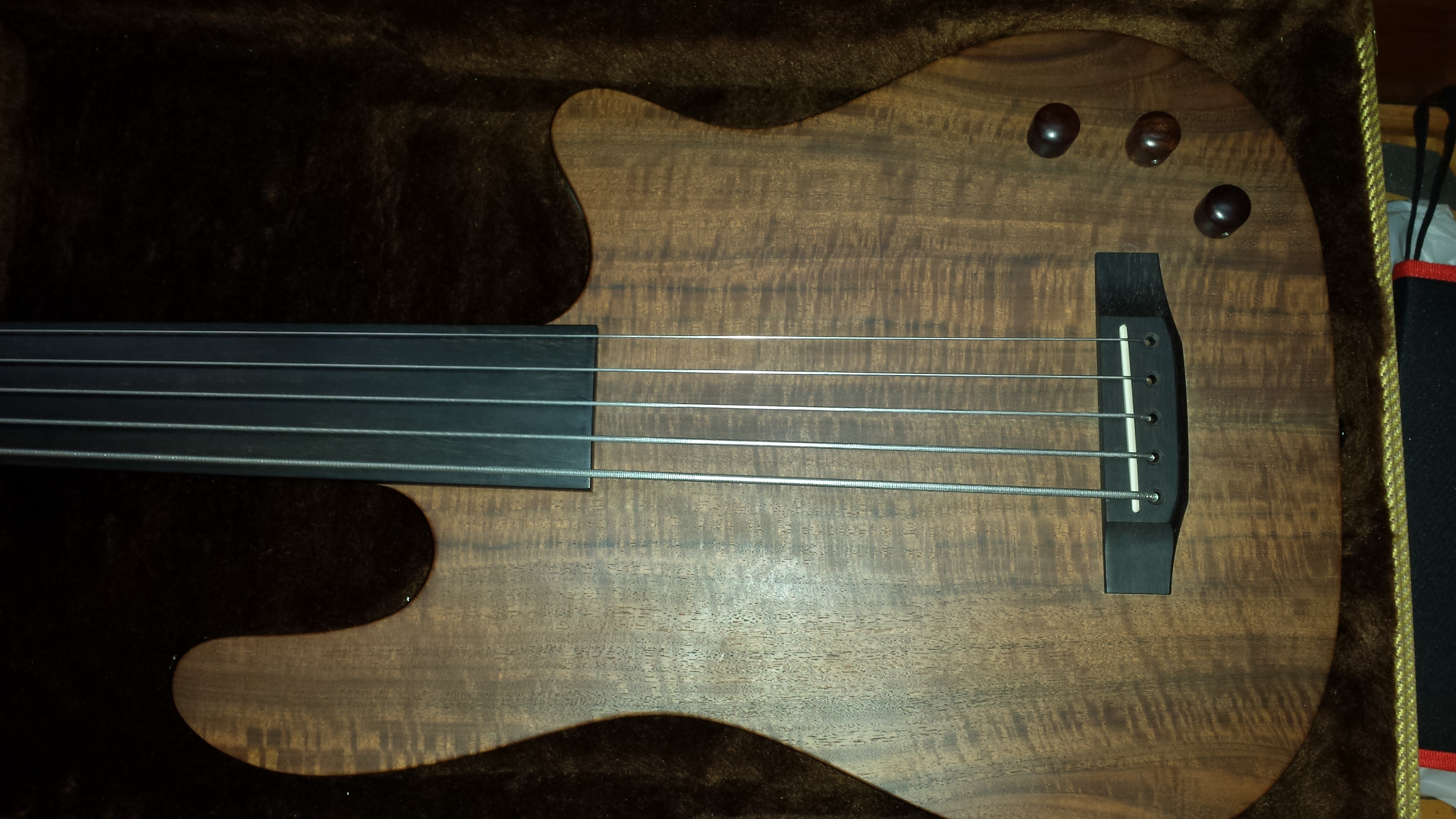 NBD! Carvin AC50 Fretless. They literally don't make 'em like this