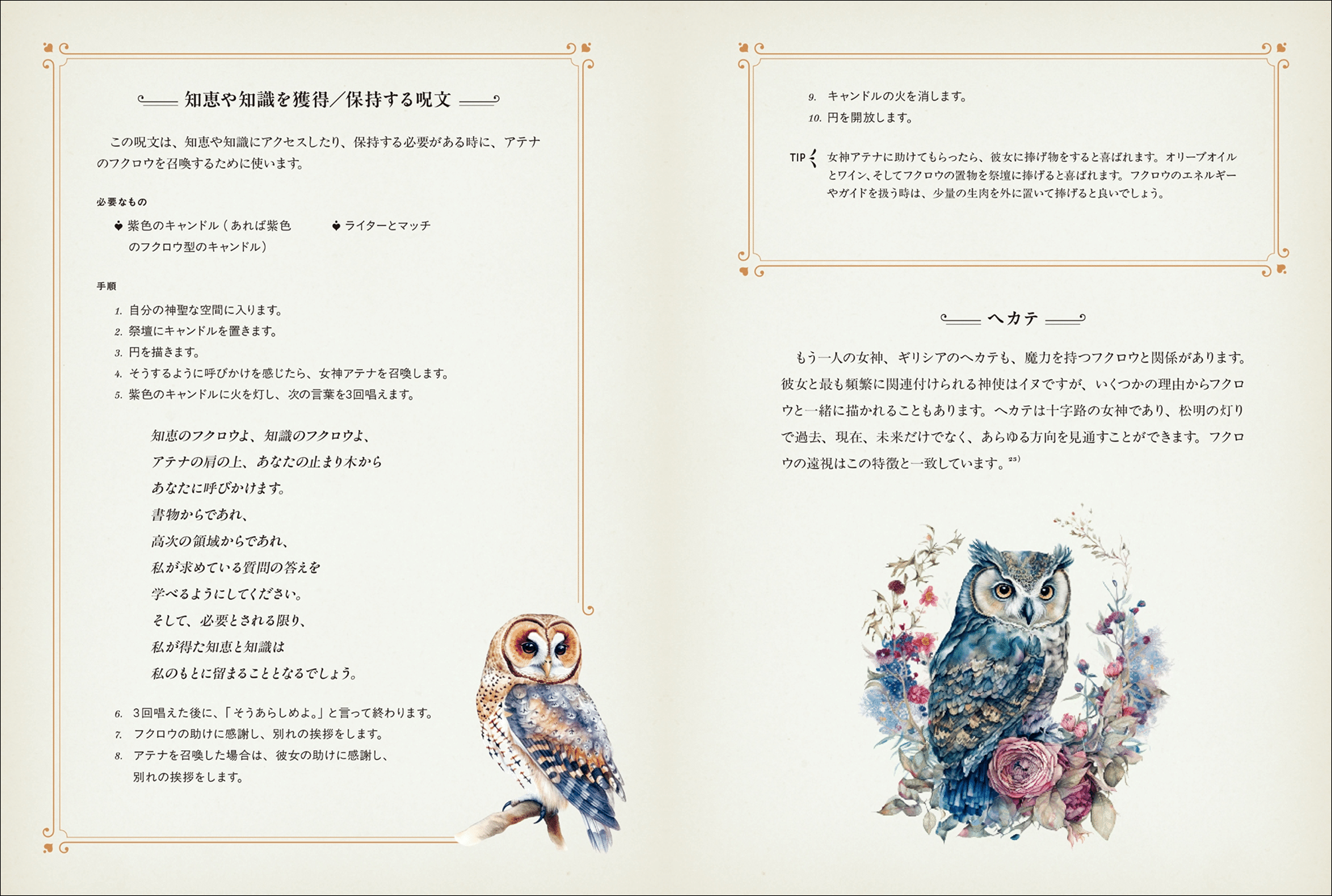 魔法世界と切り離せない使い魔「フクロウ」の生態と伝承、魔術の実践