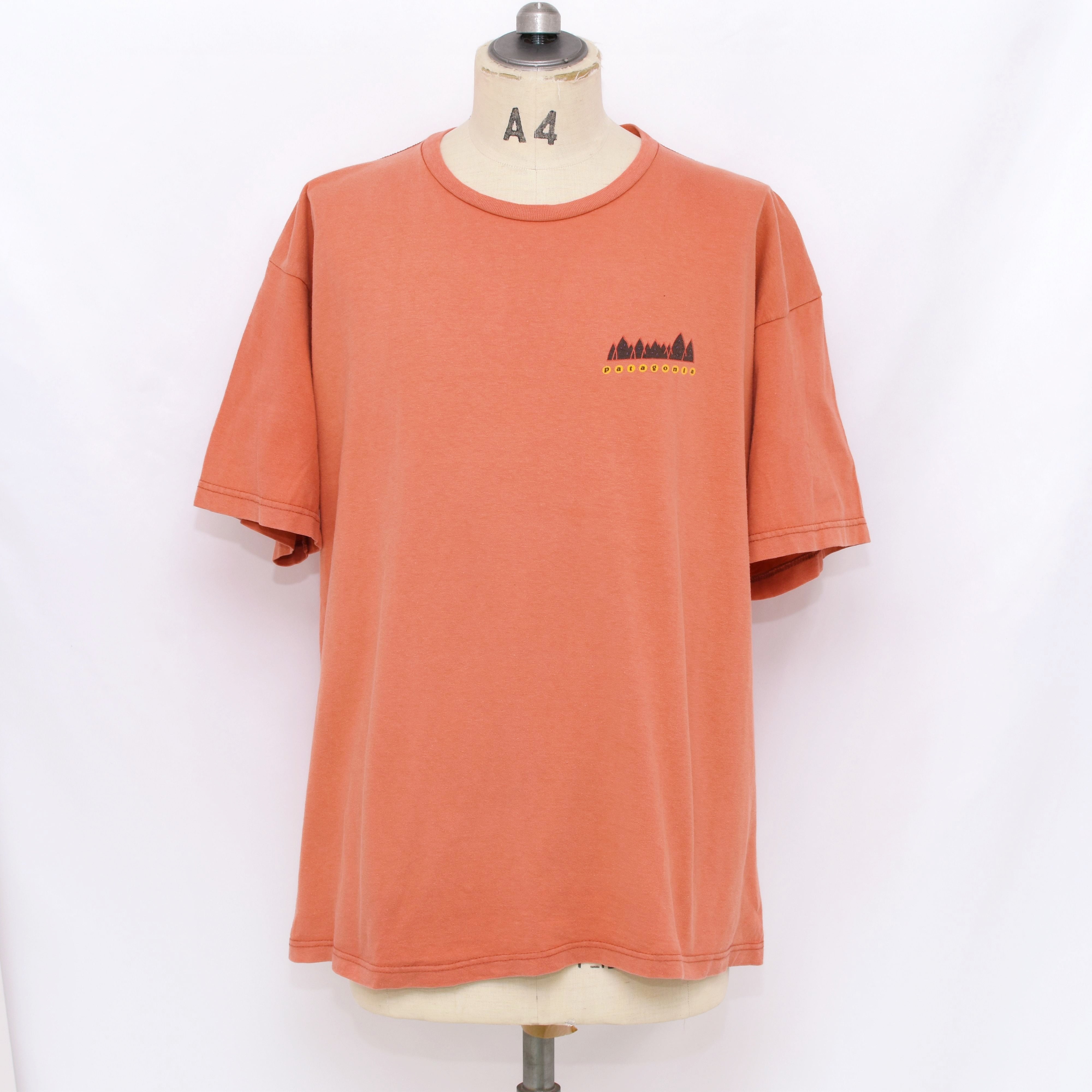 90s Vintage 【USA製】patagonia 雪無し 黒タグ Tシャツ パタゴニア