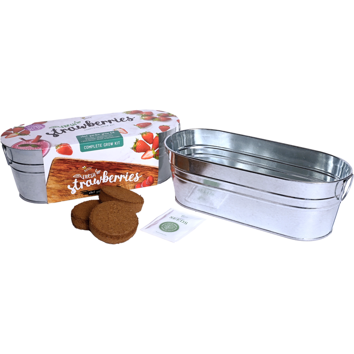 Galvanized Strawberry Grow Kit for Windowsill Gardens – Buzzy Seeds