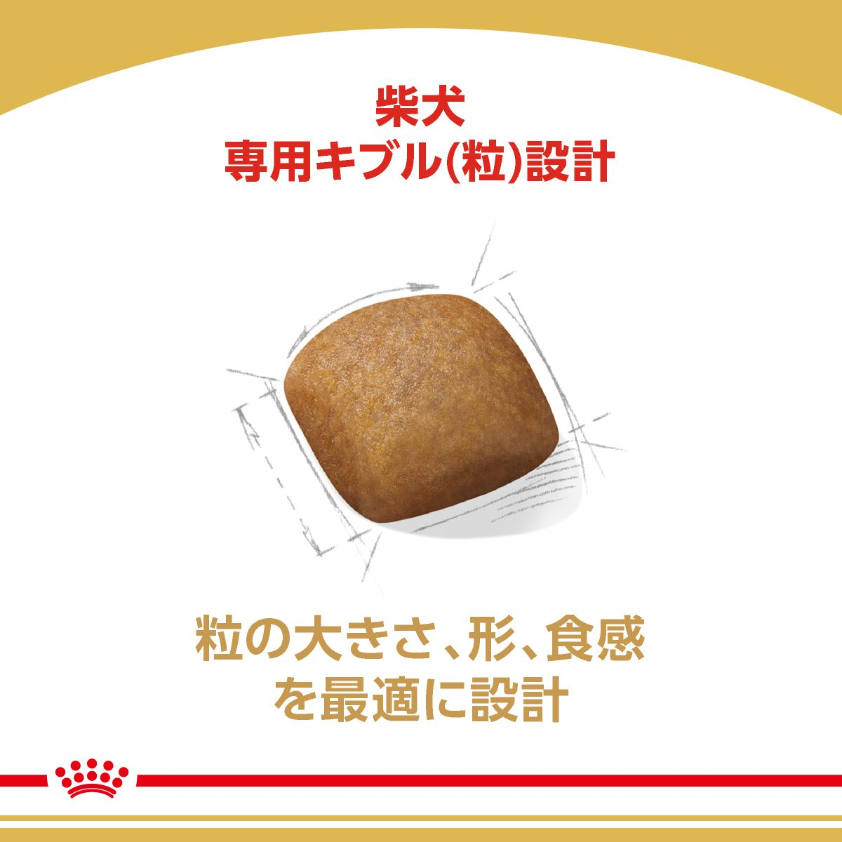 柴犬（成犬用 ドライ） | Royal Canin JP