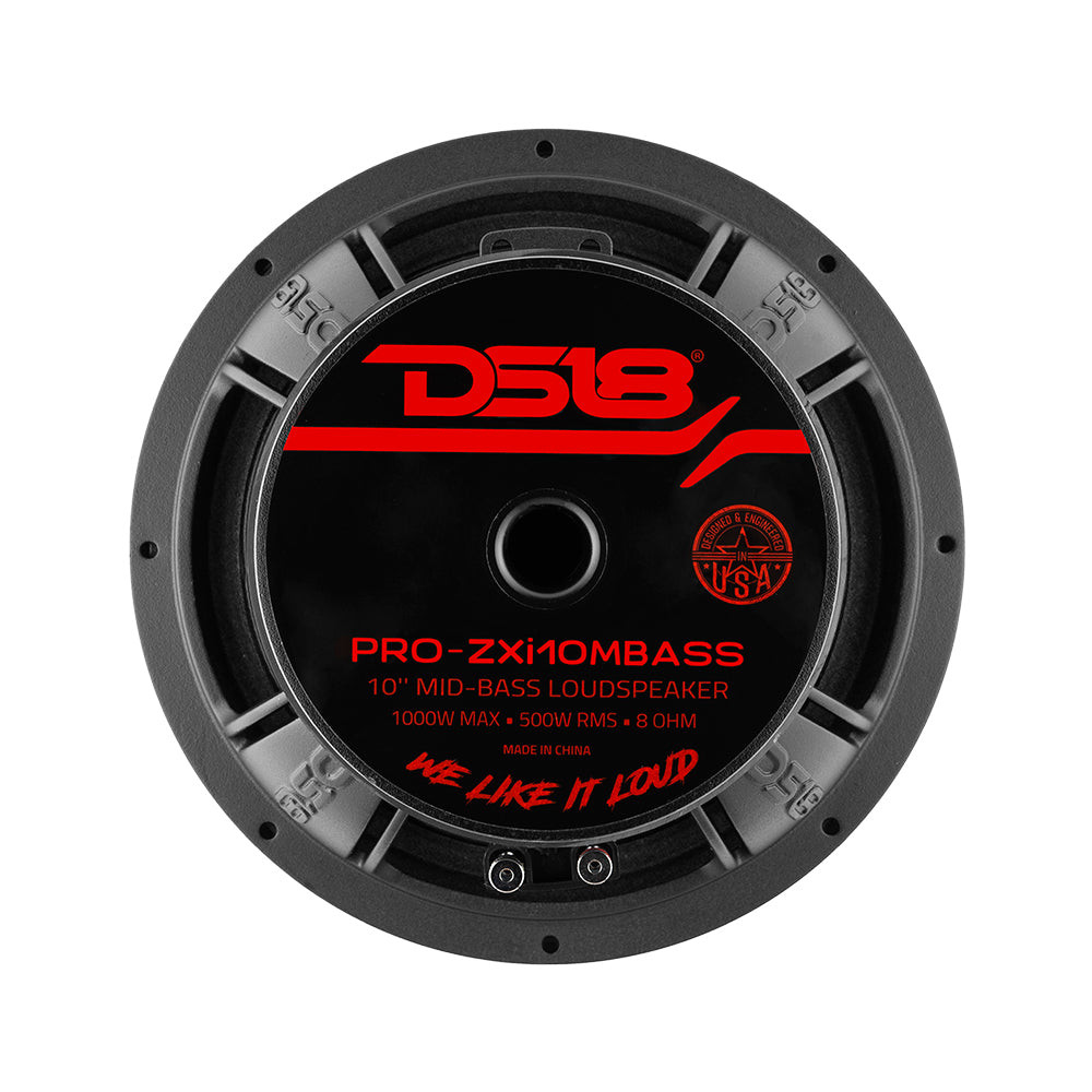 DS18 PRO-ZXI10MBASS 10