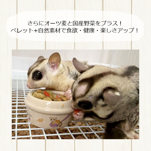 大容量】【本店限定価格】むしたまやさいプレミアムテイスト 大容量