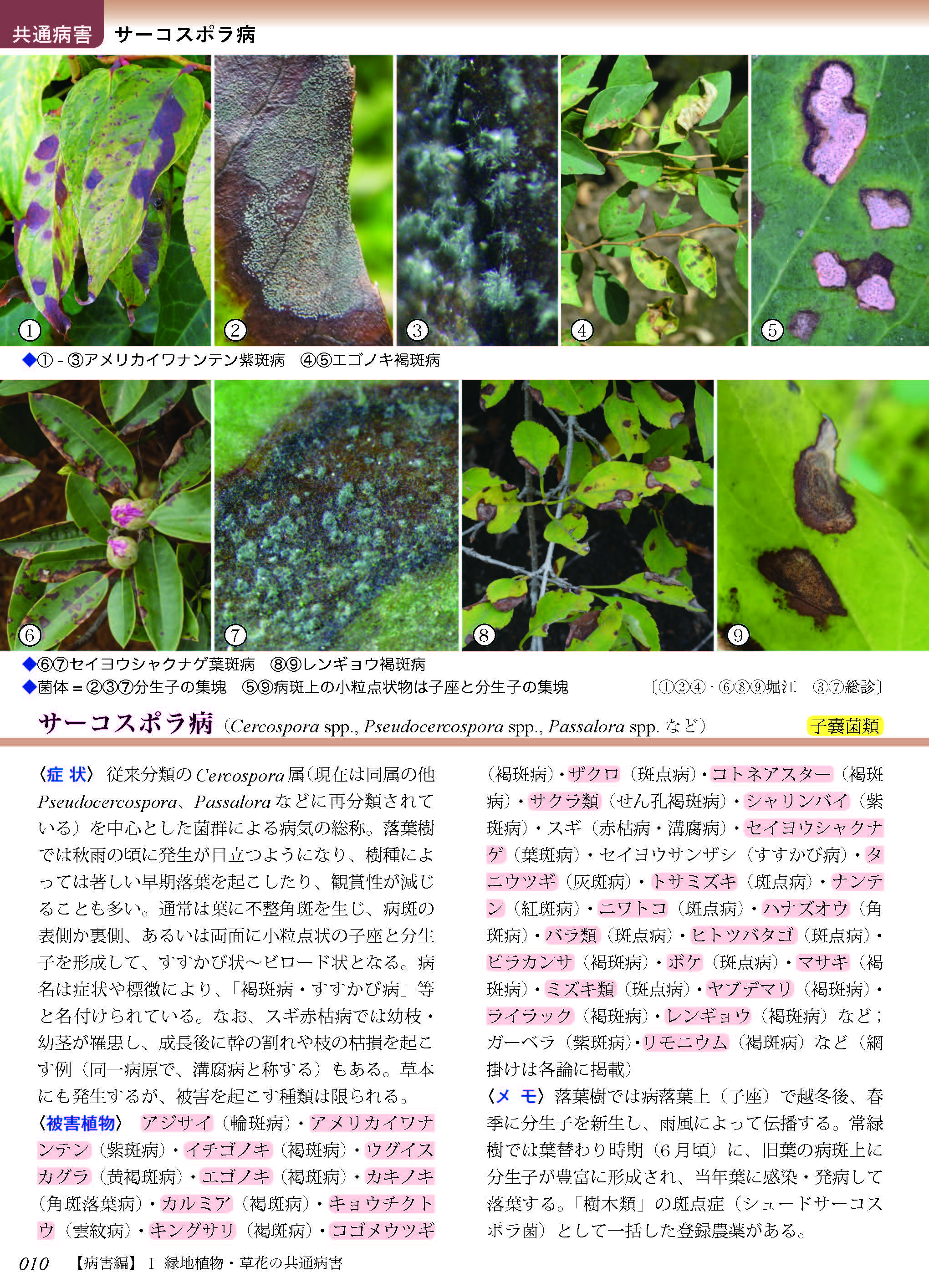 診断ハンドブック 緑地・花壇の病害虫(植物医科学叢書 No.9) - 大誠社