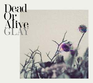 DRIVE 1993~2026 -GLAY complete BEST - Album by GLAY | Spotify