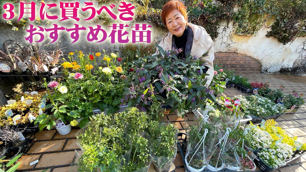 Gardening] I want to start growing them tomorrow! Cute flowers I