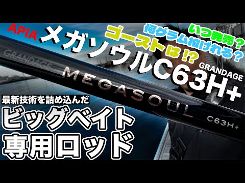 GRANDAGE MEGASOUL C63H＋をご紹介｜ビッグベイト専用に欲しい方に