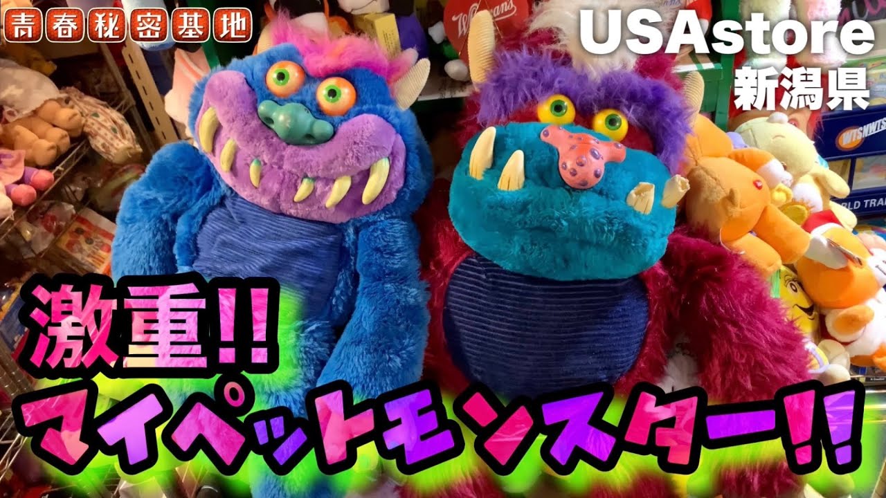 いつか欲しいマイペットモンスター!!実際の迫力に重量感は説得力ありの