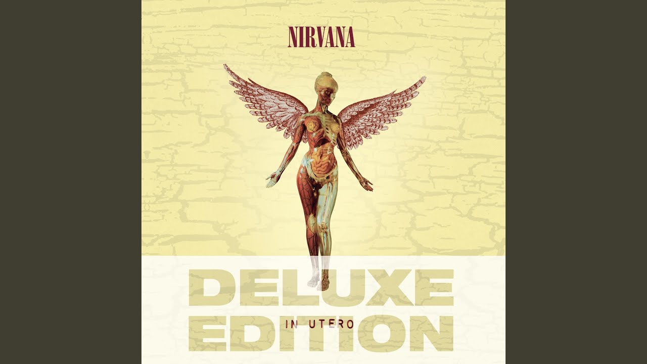 Nirvana - In Utero (20th Anniversary Deluxe Edition) (Full Album