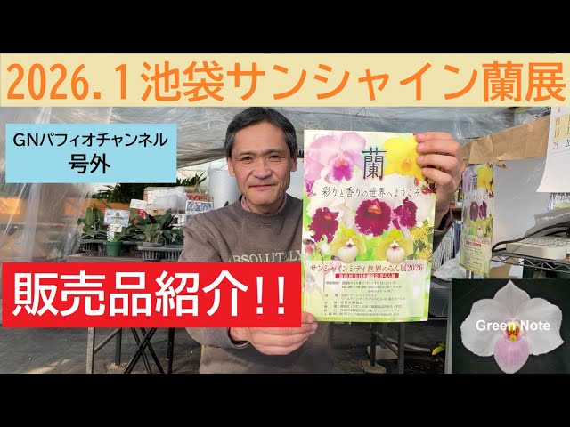 2026 1池袋サンシャイン蘭展販売品 - YouTube