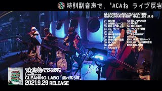 ずっと真夜中でいいのに。『LIVE Blu-ray CLEANING LABO「温れ落ち度