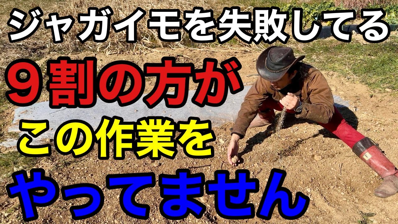 商品化プロジェクト第1弾】ファイテン 金の羽毛ピロー - YouTube