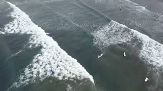 鵠沼｜2025/8/13(水)【波伝説ドローン】たっちーの空撮 - 波伝説 ニュース