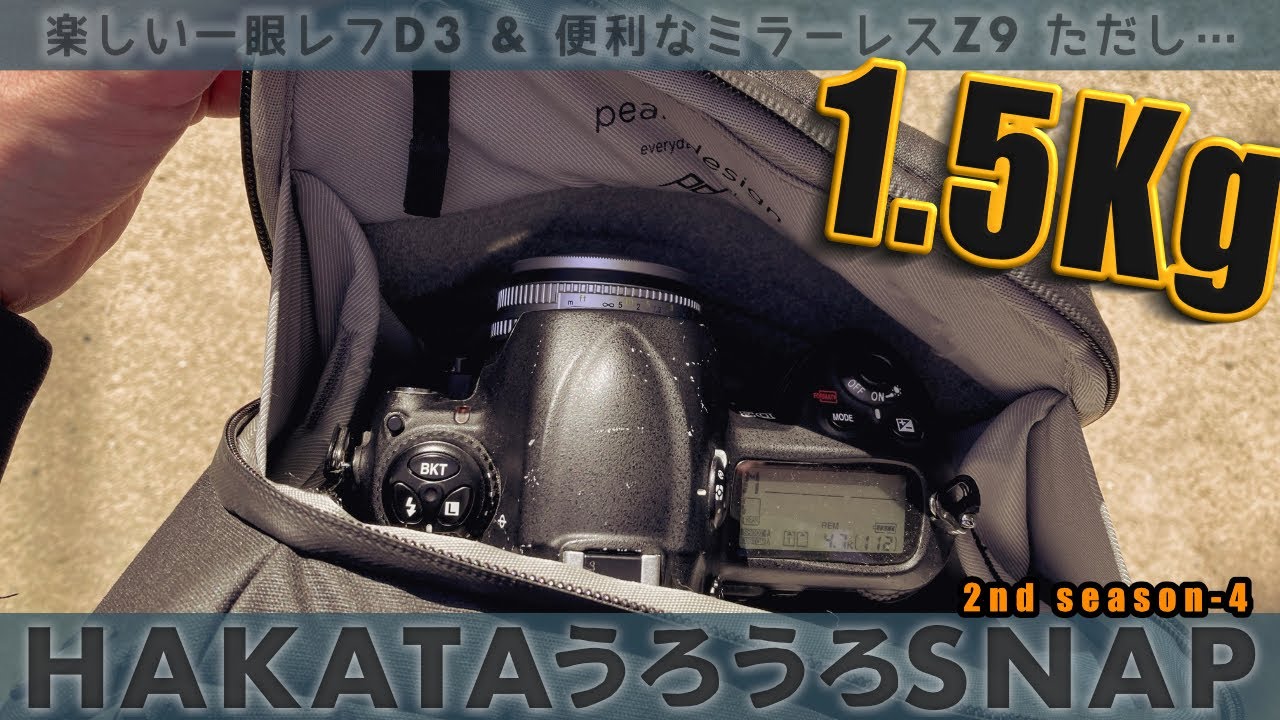 なんで今 Nikon D3なんで？ - YouTube