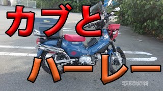 Cub and Harley] Soranamitori's Tweets 2022 - YouTube