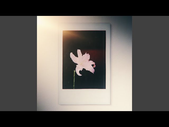 Lily - YouTube