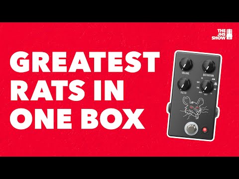 JHS PackRat: Every RAT Pedal You'll Ever Need! - YouTube