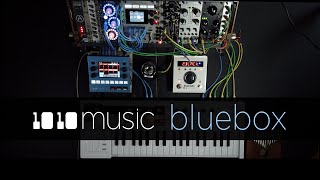1010MUSIC(テンテンミュージック) Bluebox - Compact Digital Mixer