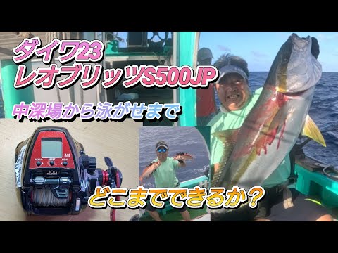 I chose a Daiwa electric reel and tried out a live bait fishing