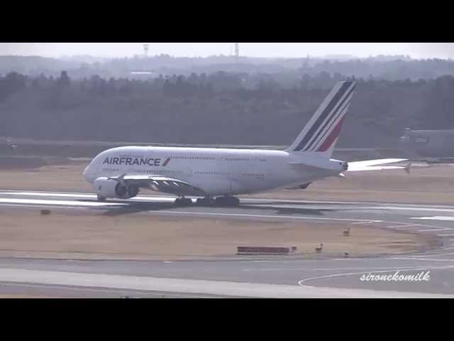 ハワイアン L-1011 エールフランス A319 米空軍 F-5A タグセット
